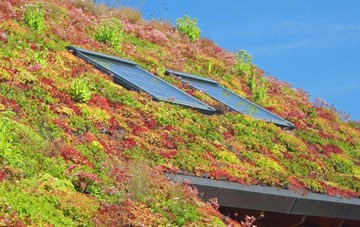 Heddon On The Wall living roof systems