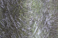 Heddon On The Wall fibreglass roof work